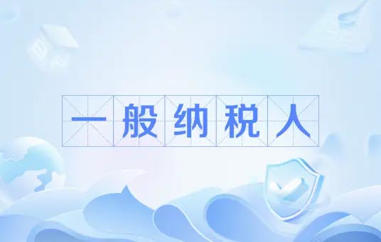 一般纳税人